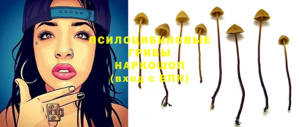 PSILOCYBIN Алзамай