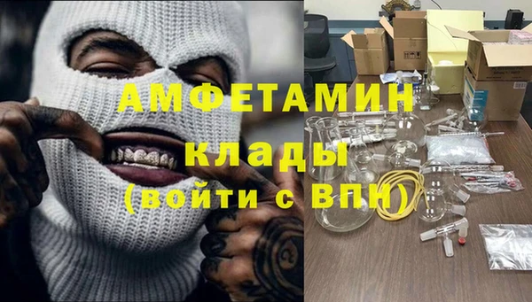 PSILOCYBIN Алзамай