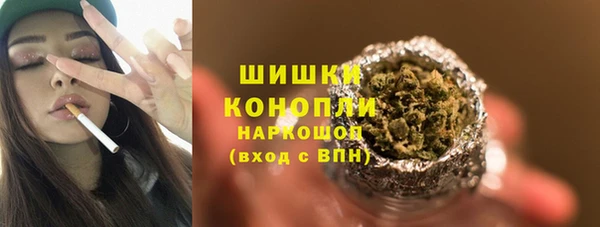 PSILOCYBIN Алзамай