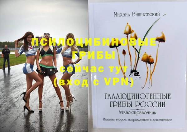 PSILOCYBIN Алзамай