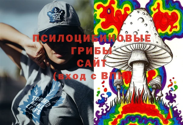 стаф Алексин