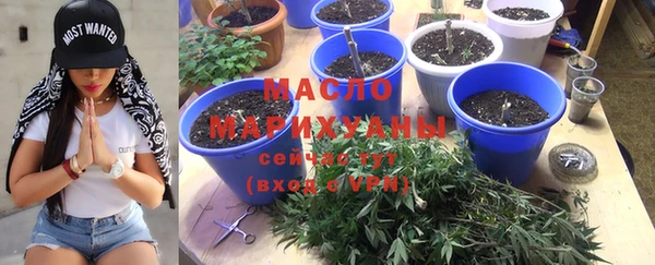 PSILOCYBIN Алзамай