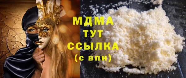 PSILOCYBIN Алзамай
