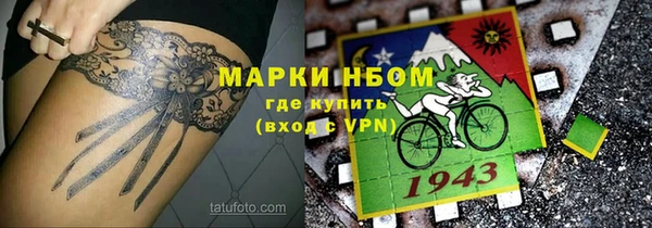 стаф Алексин