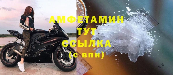 стаф Алексин
