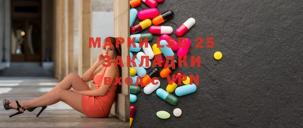 стаф Алексин