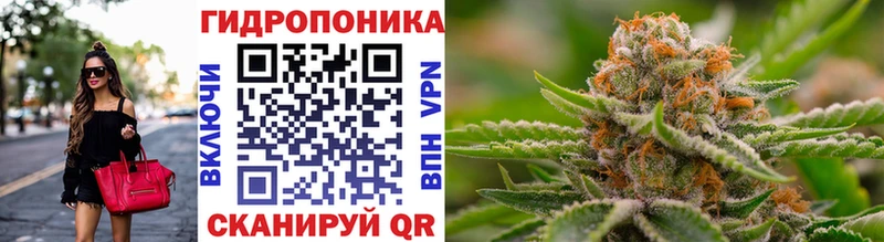 цена   Неман  Шишки марихуана семена 